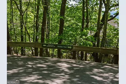 1095 McElroy Mountain Drive, Big Canoe, GA 30143 - Photo 2
