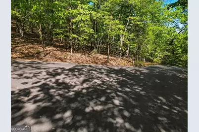 1095 McElroy Mountain Drive, Big Canoe, GA 30143 - Photo 8