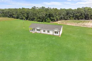 562 Sinkhole Rd, Register, GA 30452 - Photo 30