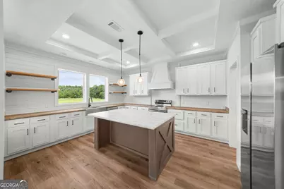 562 Sinkhole Road, Register, GA 30452 - Photo 8