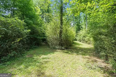 590 W Highway 5, Roopville, GA 30170 - Photo 46