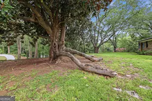 1223 Rosedale St, Toccoa, GA 30577 - Photo 64