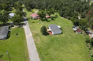 10 Humpback St, Midville, GA 30441 - Photo 4