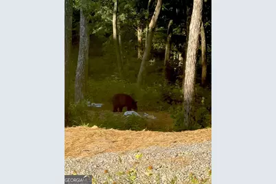 Lot 70 High Summit Dr, Talking Rock, GA 30175 - Photo 8