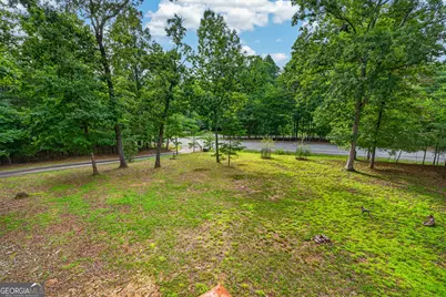 23 Dolores Drive, Mineral Bluff, GA 30559 - Photo 46