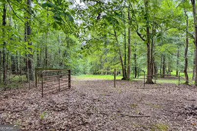 316 Biltmore Road, Mansfield, GA 30055 - Photo 66