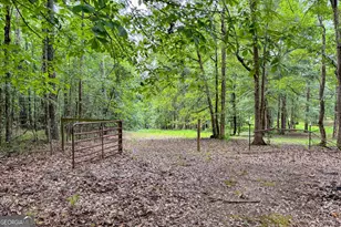 316 Biltmore Rd, Mansfield, GA 30055 - Photo 66