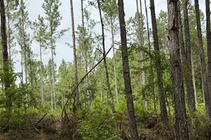 008 Old Monticello Rd, Milledgeville, GA 31061 - Photo 1