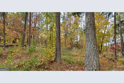 2320 Club Drive, Greensboro, GA 30642 - Photo 8
