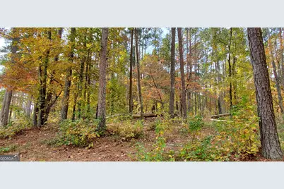 2320 Club Drive, Greensboro, GA 30642 - Photo 10