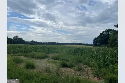 12684 Highway 59, Carnesville, GA 30521 - Photo 16