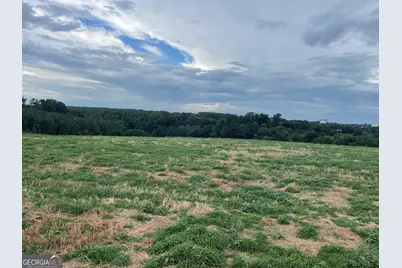 12684 Highway 59, Carnesville, GA 30521 - Photo 32