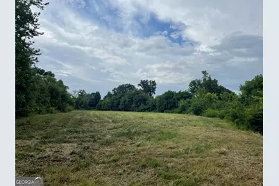 12684 Highway 59, Carnesville, GA 30521 - Photo 10