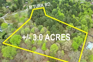 4580 J M Turk Rd, Flowery Branch, GA 30542 - Photo 1