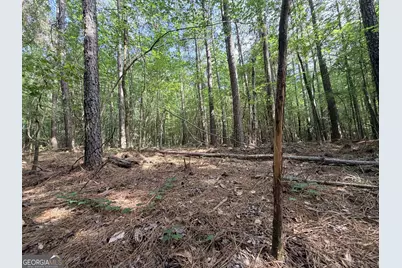 2250 W Highway 220, Lincolnton, GA 30817 - Photo 36