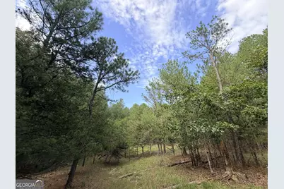 2250 W Highway 220, Lincolnton, GA 30817 - Photo 24