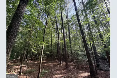 2250 W Highway 220, Lincolnton, GA 30817 - Photo 42