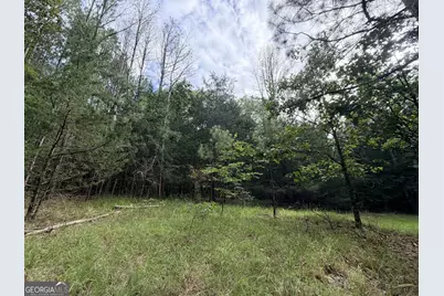 2250 W Highway 220, Lincolnton, GA 30817 - Photo 26