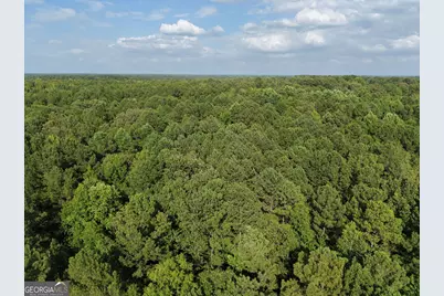 2250 W Highway 220, Lincolnton, GA 30817 - Photo 44