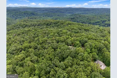 Lot 58 Red Bud Lane, Ellijay, GA 30540 - Photo 12