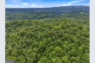 Lot 58 Red Bud Lane, Ellijay, GA 30540 - Photo 10