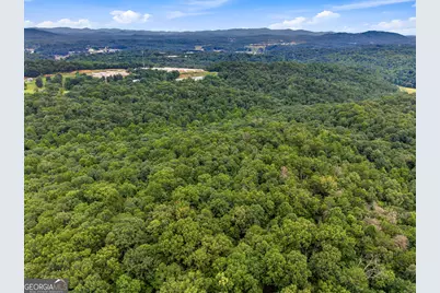 Lot 58 Red Bud Lane, Ellijay, GA 30540 - Photo 6