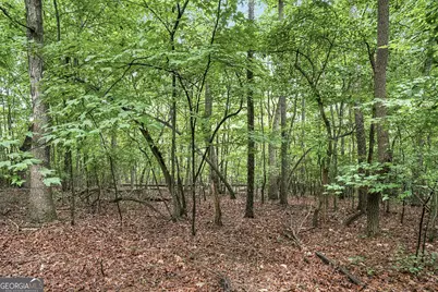 Lot 58 Red Bud Lane, Ellijay, GA 30540 - Photo 4