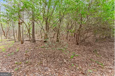 Lot 22 Soque Falls Circle, Clarkesville, GA 30523 - Photo 14