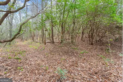Lot 22 Soque Falls Circle, Clarkesville, GA 30523 - Photo 16