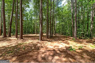 548 Barnesville Road, Griffin, GA 30224 - Photo 34