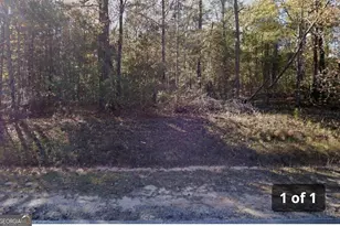 3063 Hamlin Rd, Lizella, GA 31052 - Photo 1