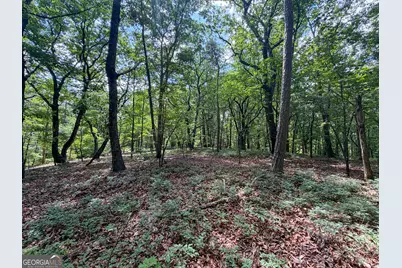 0 Christmas Tree Road, Homer, GA 30547 - Photo 32