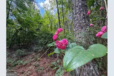 0 Christmas Tree Road, Homer, GA 30547 - Photo 42