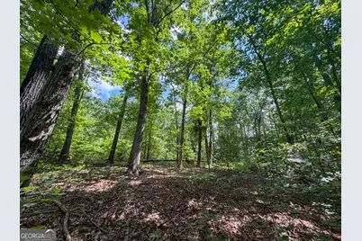 Tract 5 Christmas Tree Road, Homer, GA 30547 - Photo 12