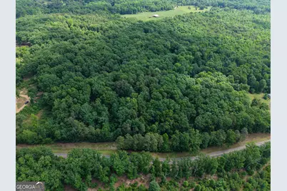 Tract 5 Christmas Tree Road, Homer, GA 30547 - Photo 2