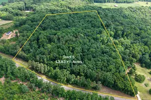 Tract 5 Christmas Tree Rd, Homer, GA 30547 - Photo 1