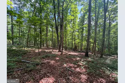 Tract 5 Christmas Tree Road, Homer, GA 30547 - Photo 14