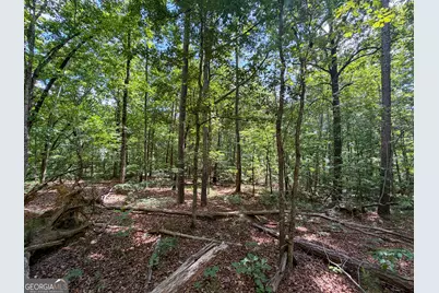 Tract 5 Christmas Tree Road, Homer, GA 30547 - Photo 16
