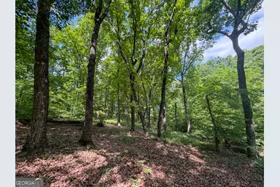 Tract 5 Christmas Tree Road, Homer, GA 30547 - Photo 18