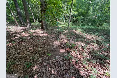 Tract 5 Christmas Tree Road, Homer, GA 30547 - Photo 20