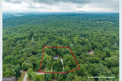 460 Pasha Drive, Ellijay, GA 30540 - Photo 46