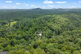 2374 Dean Mountain Rd, Cleveland, GA 30528 - Photo 106