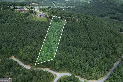 Lot 13 Thirteen Hundred, Blairsville, GA 30512 - Photo 1
