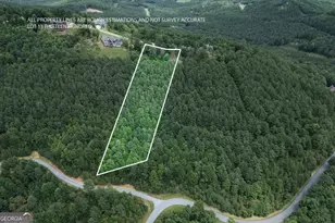 Lot 13 Thirteen Hundred, Blairsville, GA 30512 - Photo 1