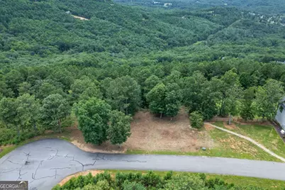Lot 13 Thirteen Hundred, Blairsville, GA 30512 - Photo 8