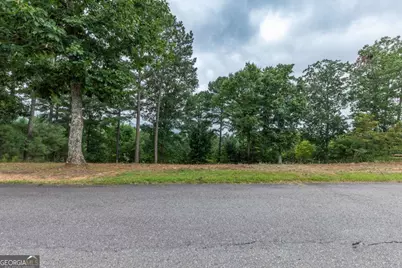 Lot 13 Thirteen Hundred, Blairsville, GA 30512 - Photo 2