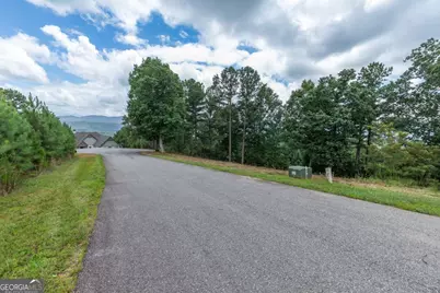 Lot 13 Thirteen Hundred, Blairsville, GA 30512 - Photo 6