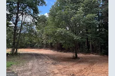 17 Blackberry Creek Drive, Carrollton, GA 30116 - Photo 2