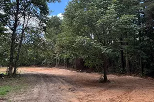 17 Blackberry Creek Dr, Carrollton, GA 30116 - Photo 2