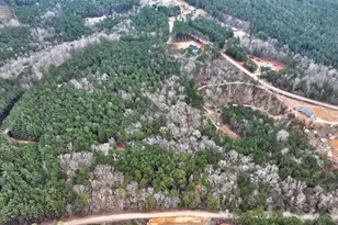 Lot 5 Cochran Rd, Madison, GA 30650 - Photo 1